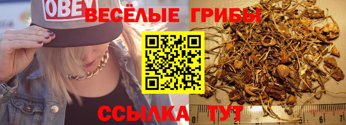 Псилоцибиновые грибы мухоморы  где продают наркотики  Севастополь  Вход с VPN 